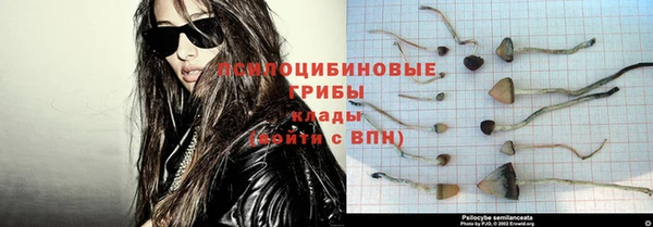 тгк Богородск